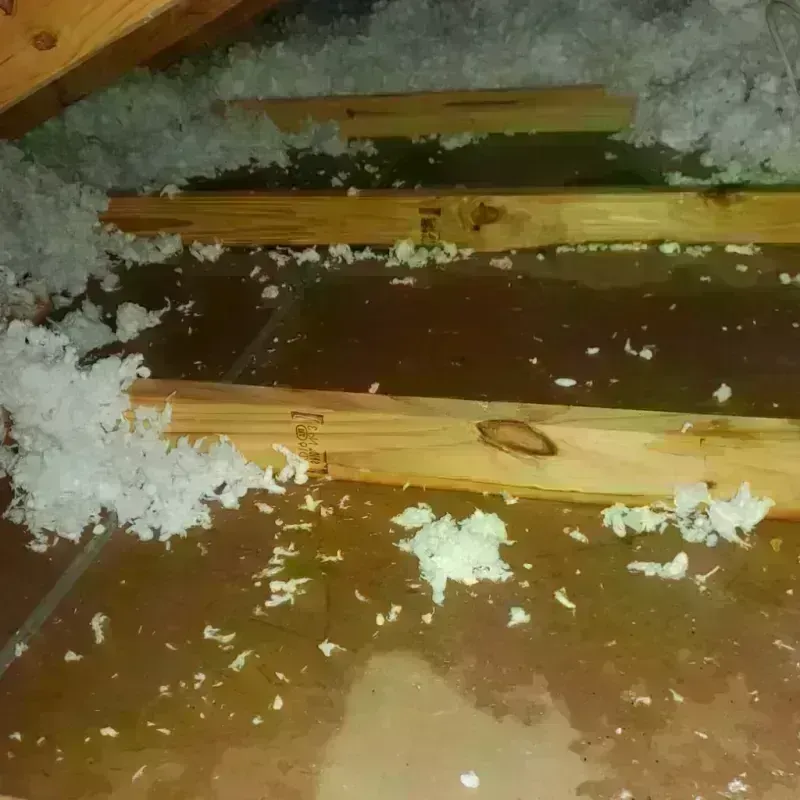 Attic Water Damage in Canton, NY