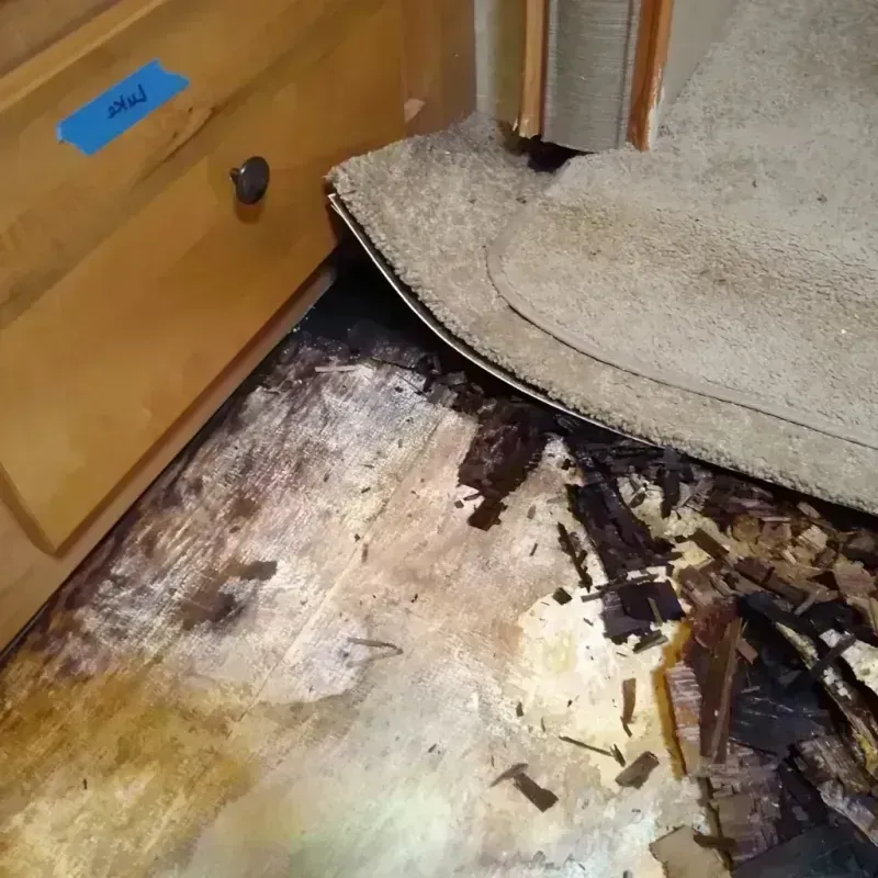 Wood Floor Water Damage in Canton, NY